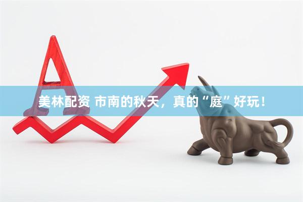 美林配资 市南的秋天，真的“庭”好玩！