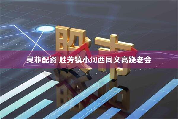 灵菲配资 胜芳镇小河西同义高跷老会