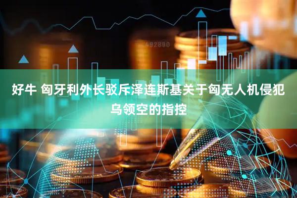 好牛 匈牙利外长驳斥泽连斯基关于匈无人机侵犯乌领空的指控